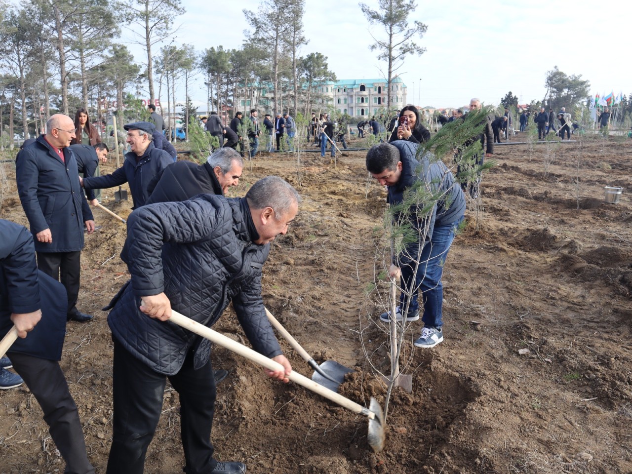 “Yaşıl və sağlam gələcək naminə” devizi altında ağacəkmə aksiyası keçirildi - FOTOLAR