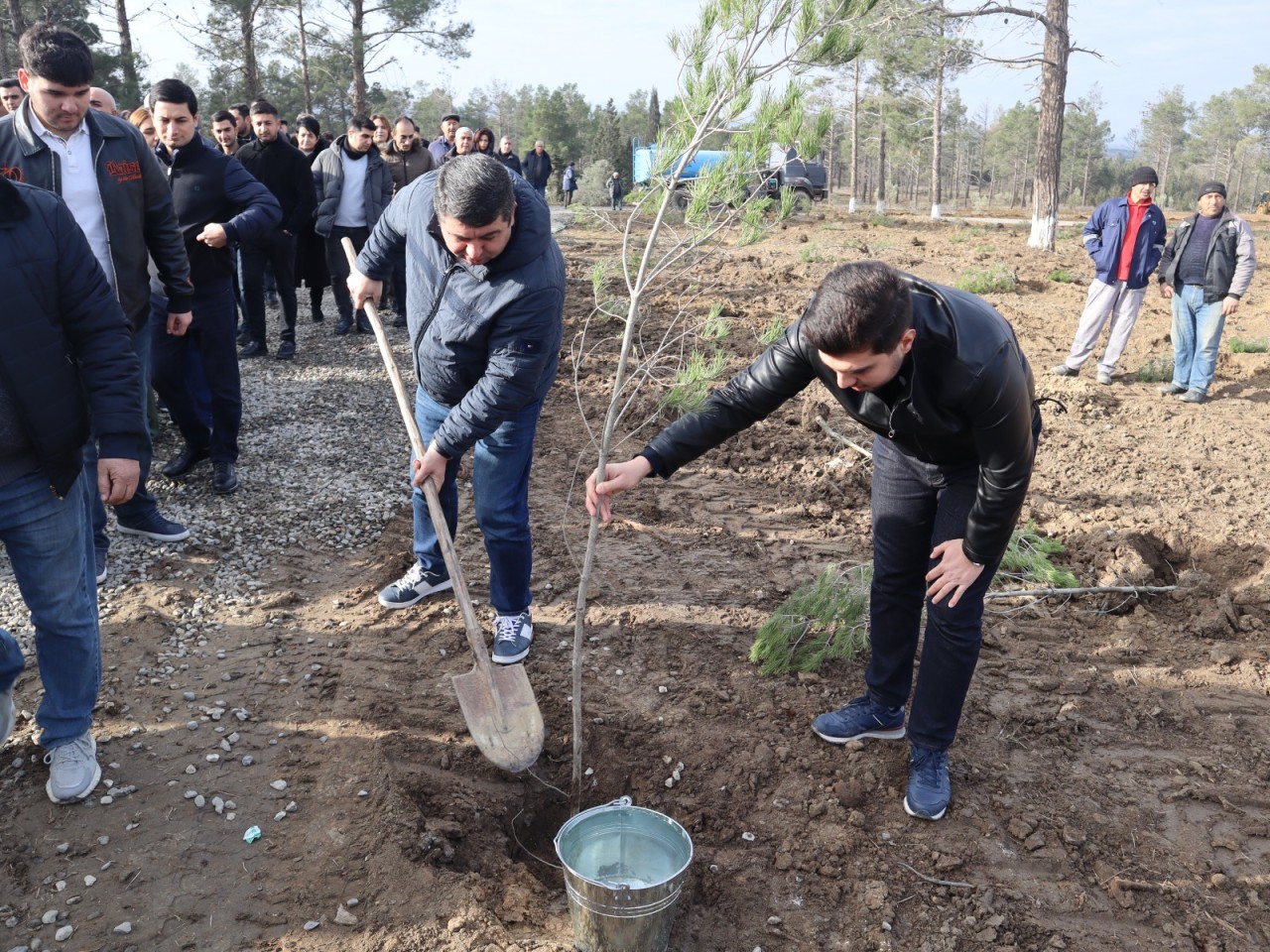 “Yaşıl və sağlam gələcək naminə” devizi altında ağacəkmə aksiyası keçirildi - FOTOLAR