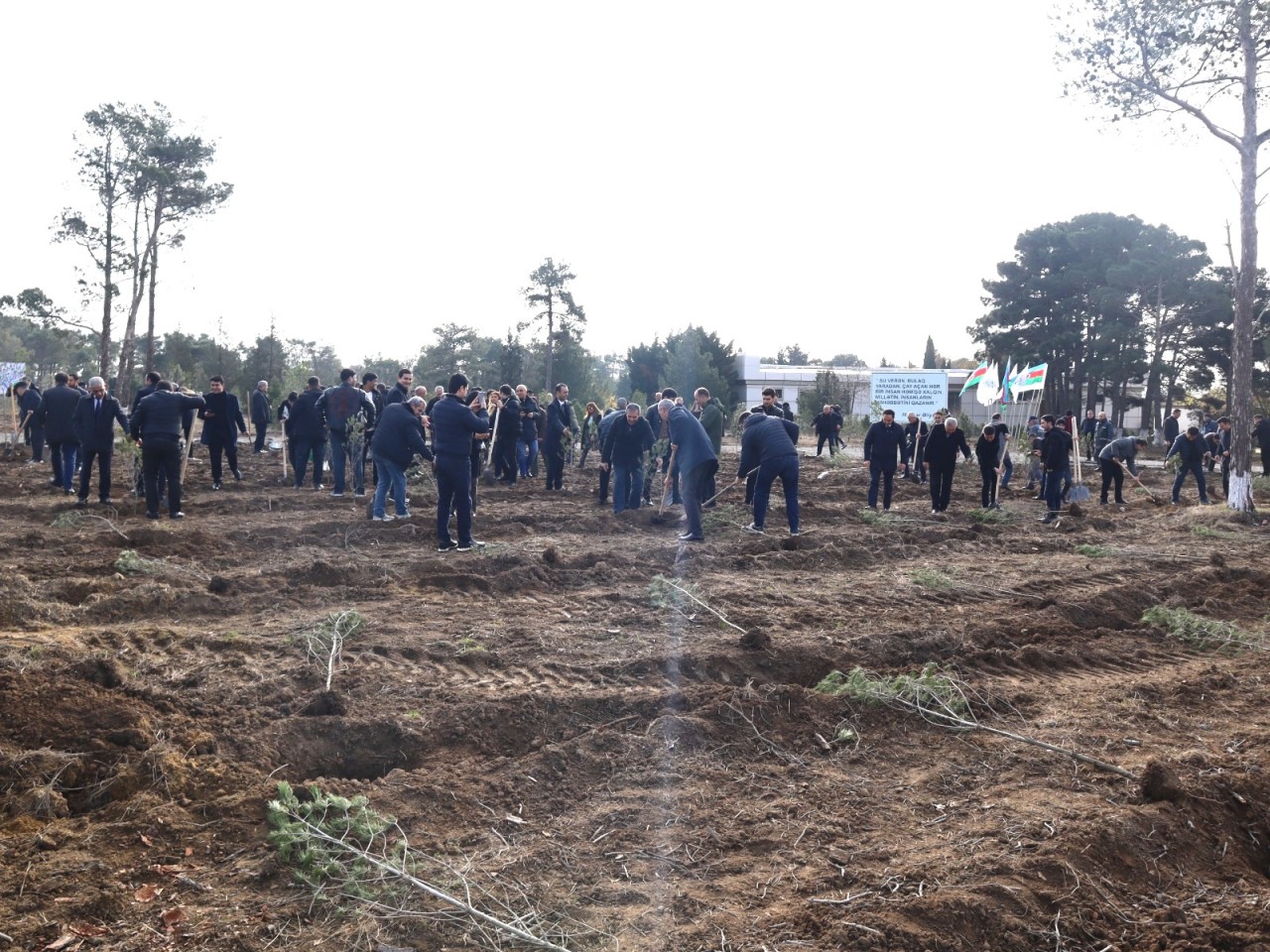 “Yaşıl və sağlam gələcək naminə” devizi altında ağacəkmə aksiyası keçirildi - FOTOLAR