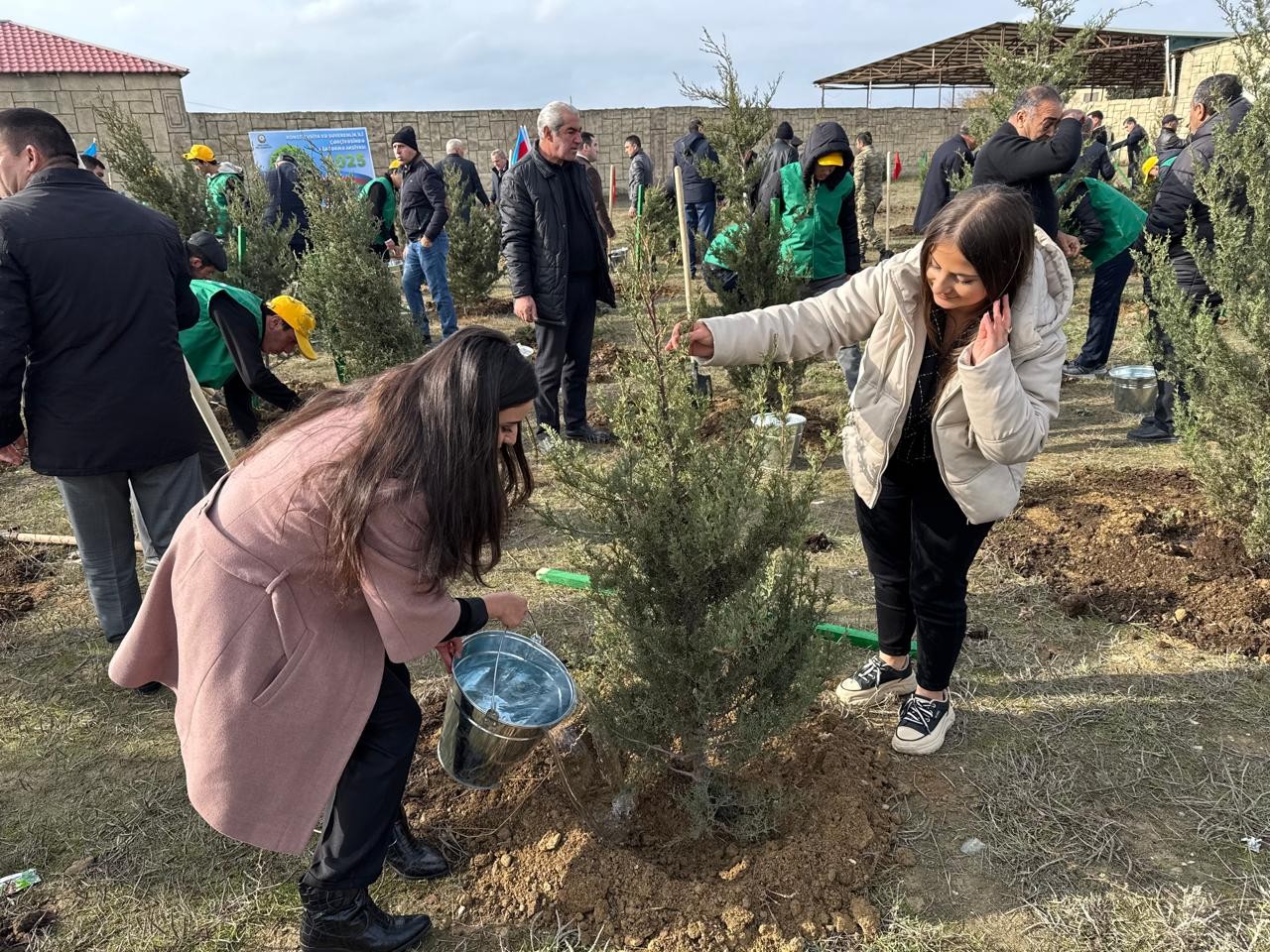 Xəzər rayonunda ağacəkmə aksiyası keçirilib - FOTOLAR