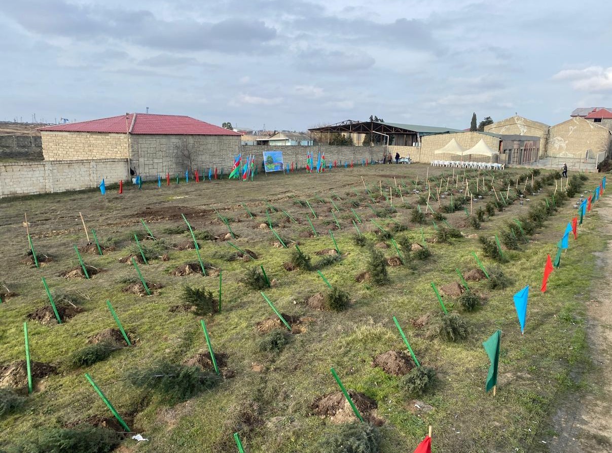 Xəzər rayonunda ağacəkmə aksiyası keçirilib - FOTOLAR