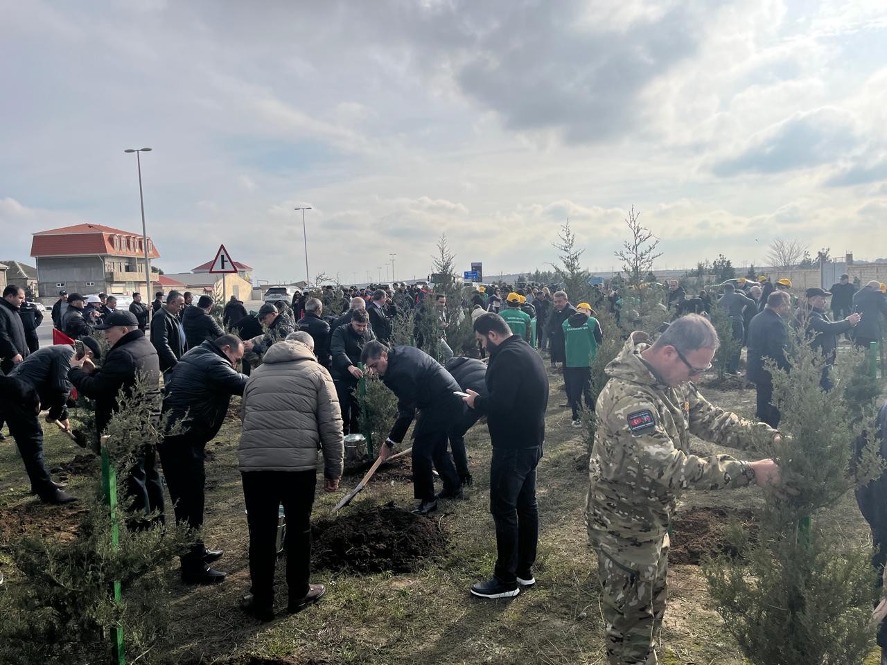 Xəzər rayonunda ağacəkmə aksiyası keçirilib - FOTOLAR
