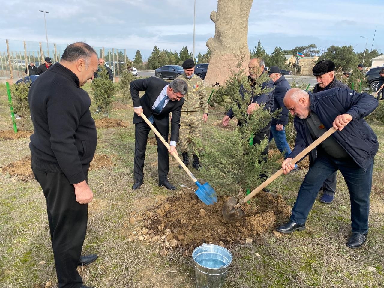 Xəzər rayonunda ağacəkmə aksiyası keçirilib - FOTOLAR