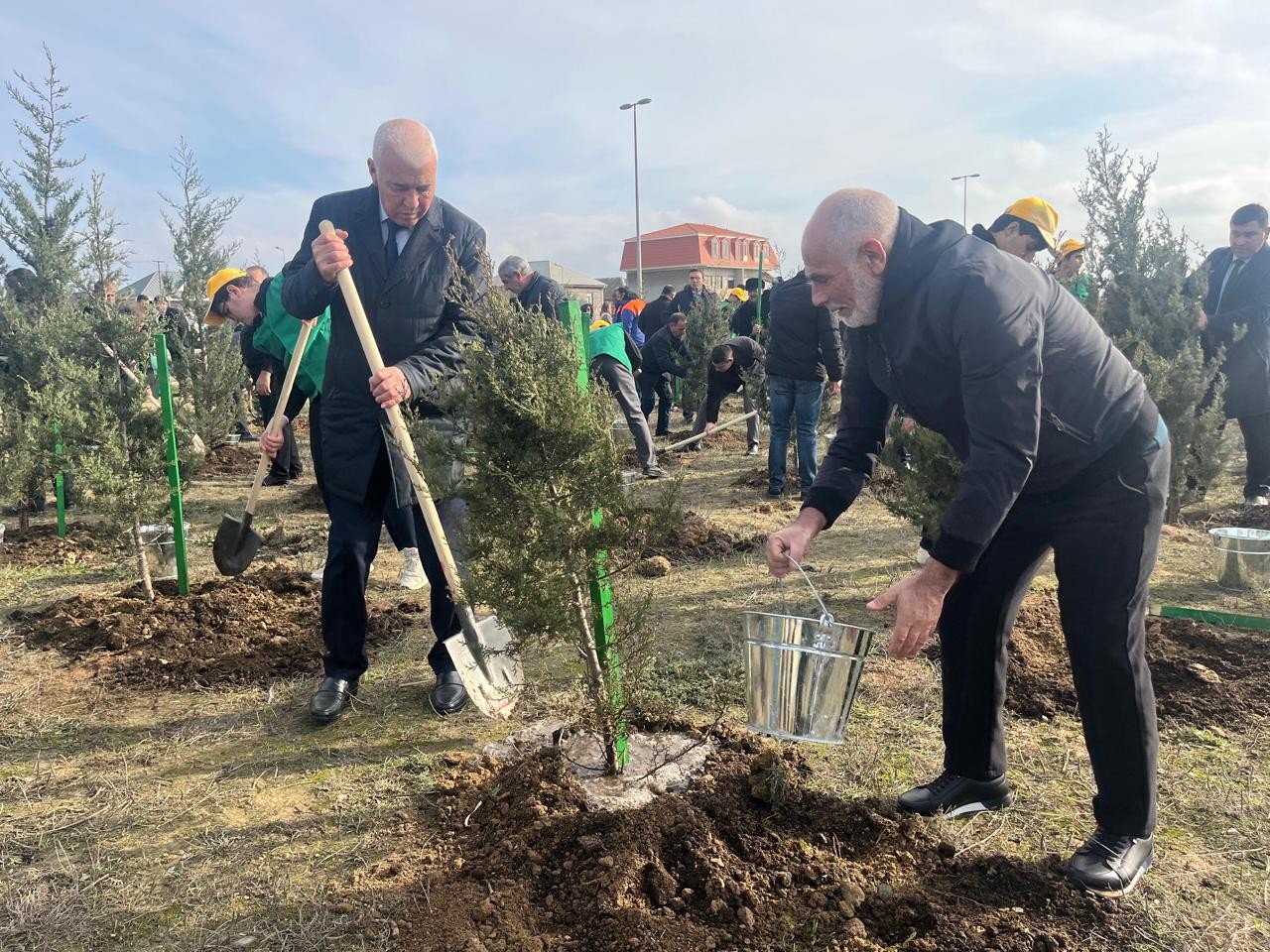 Xəzər rayonunda ağacəkmə aksiyası keçirilib - FOTOLAR