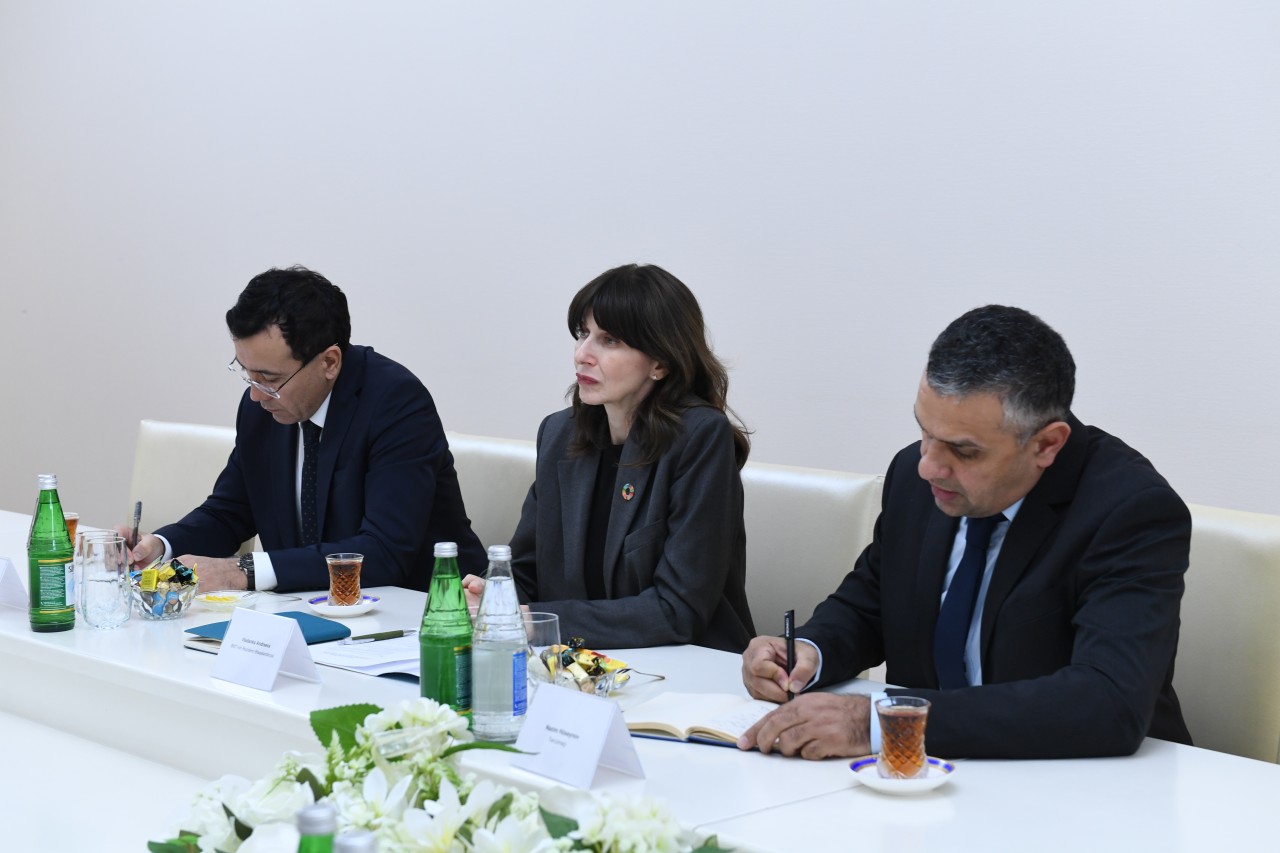 Dövlət Komitəsində BMT-nin rezident-əlaqələndiricisi ilə görüş keçirilib - FOTOLAR