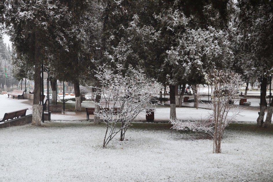 Xankəndiyə ilk qar yağdı - FOTOLAR