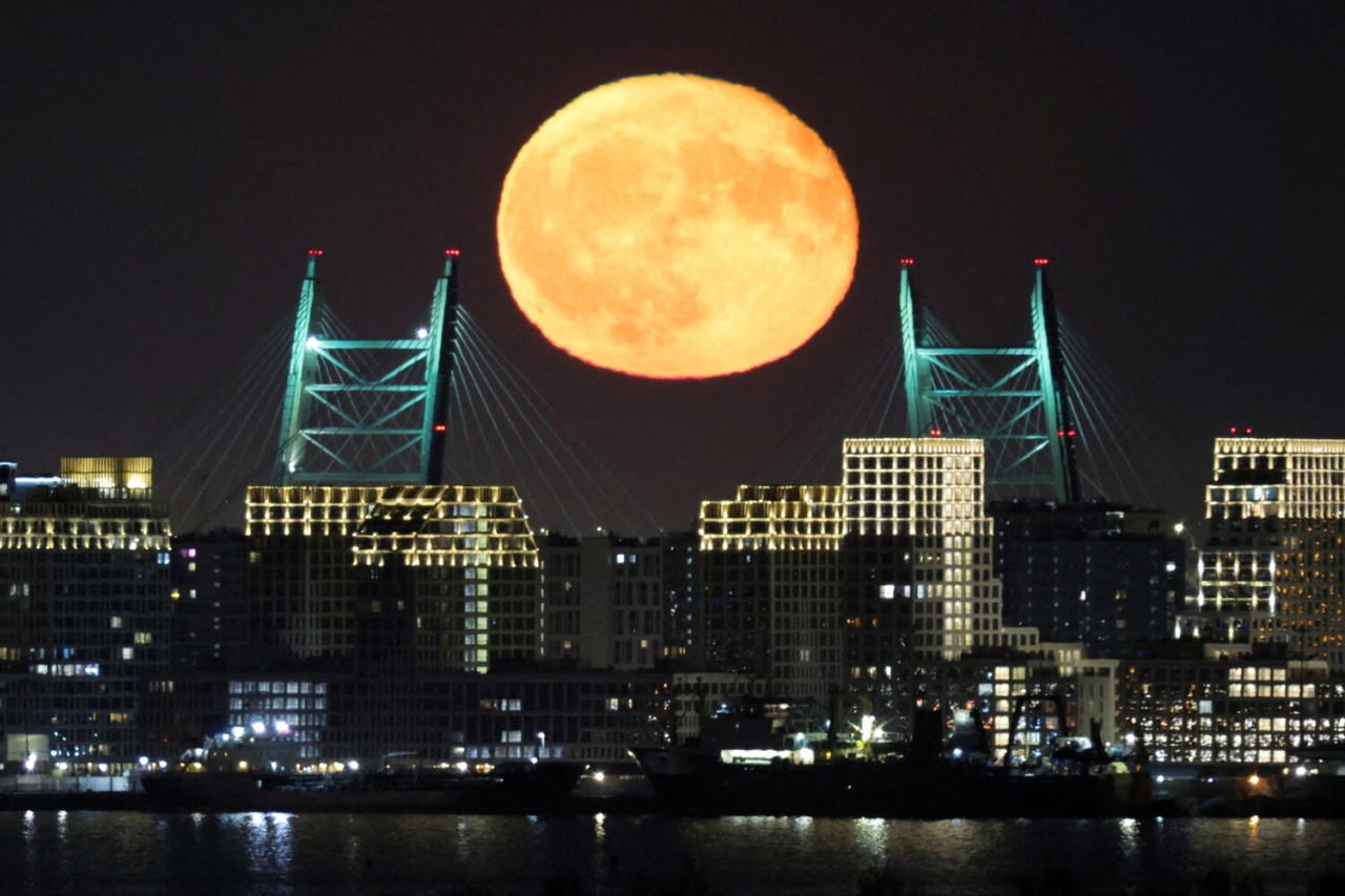 2025-i bu fotolarla xatırlayacağıq