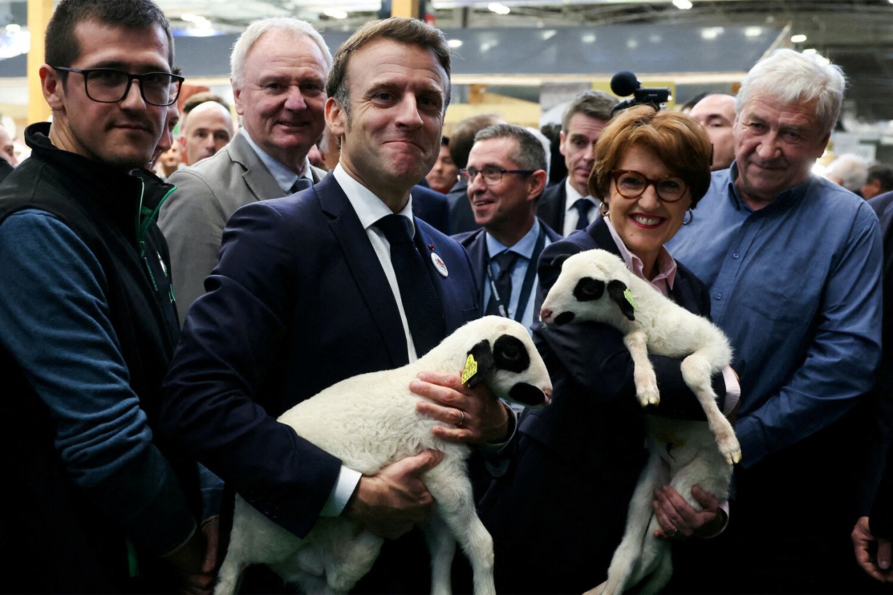 2025-i bu fotolarla xatırlayacağıq