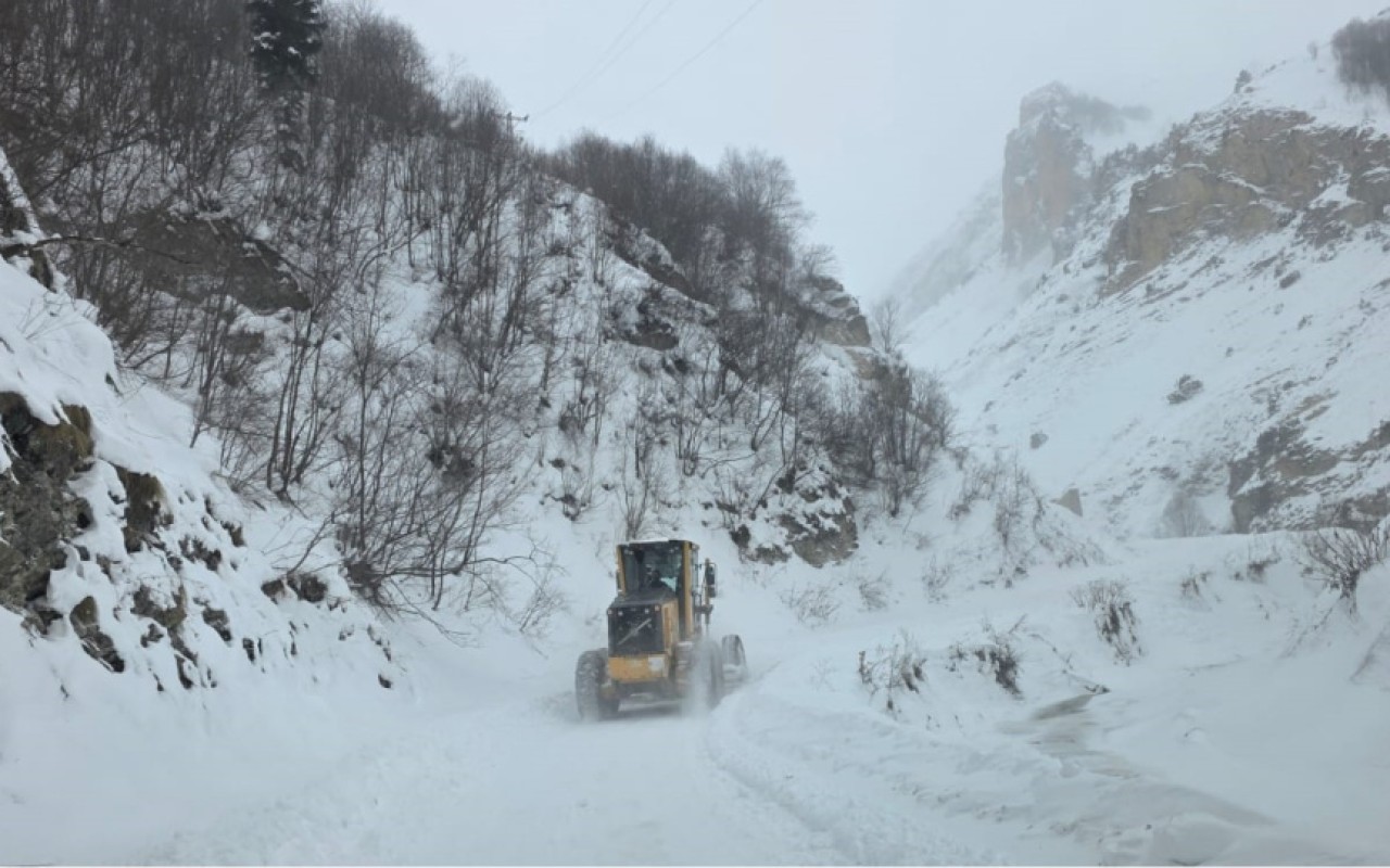 Türkiyədə 3 çoban qar uçqununadüşdü