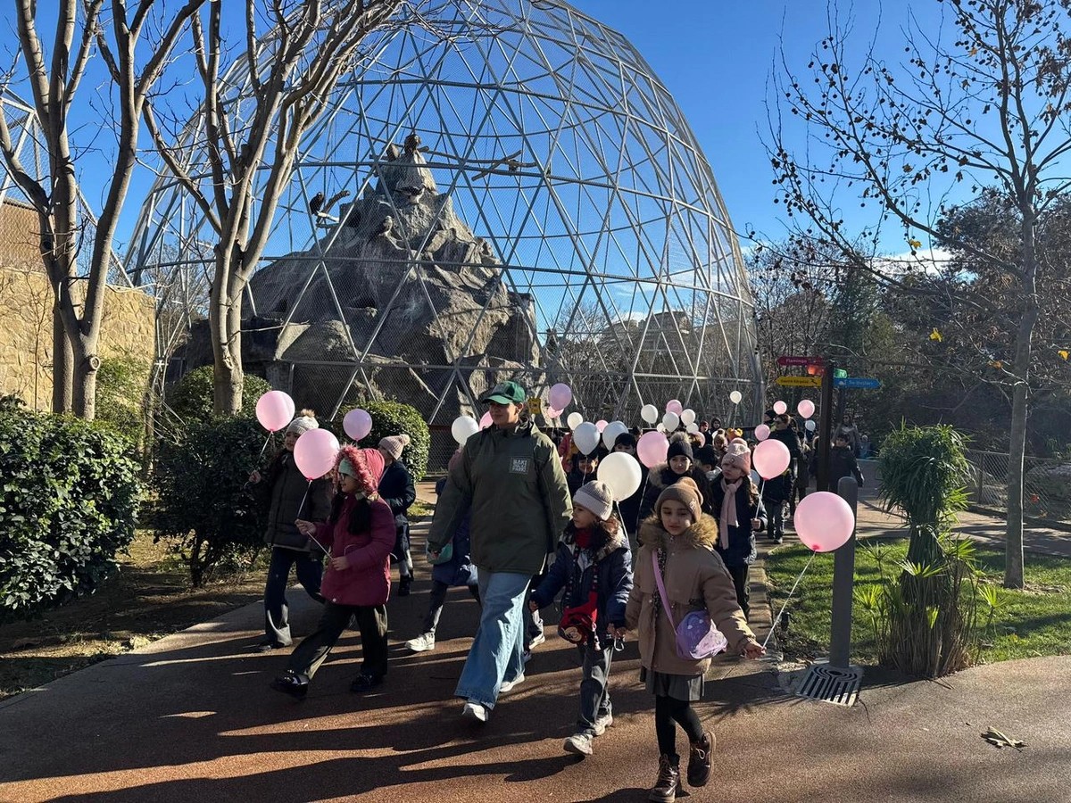 Leyla Əliyevanın təşəbbüsü ilə uşaqlar üçün bayram tədbiri təşkil olunub - FOTOLAR