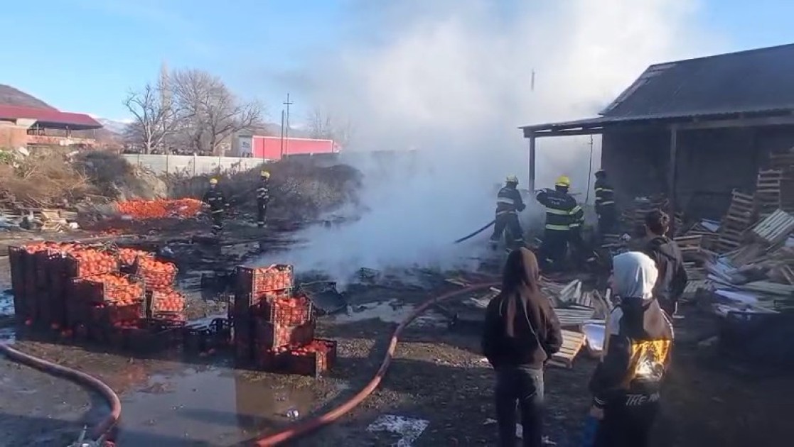 Zaqatalada xurma sexi yandı - FOTOLAR