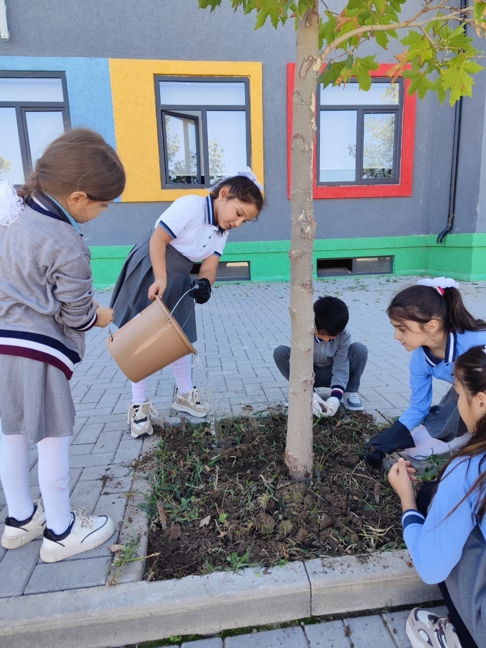 Zəfərdən təhsilə - FOTOLAR