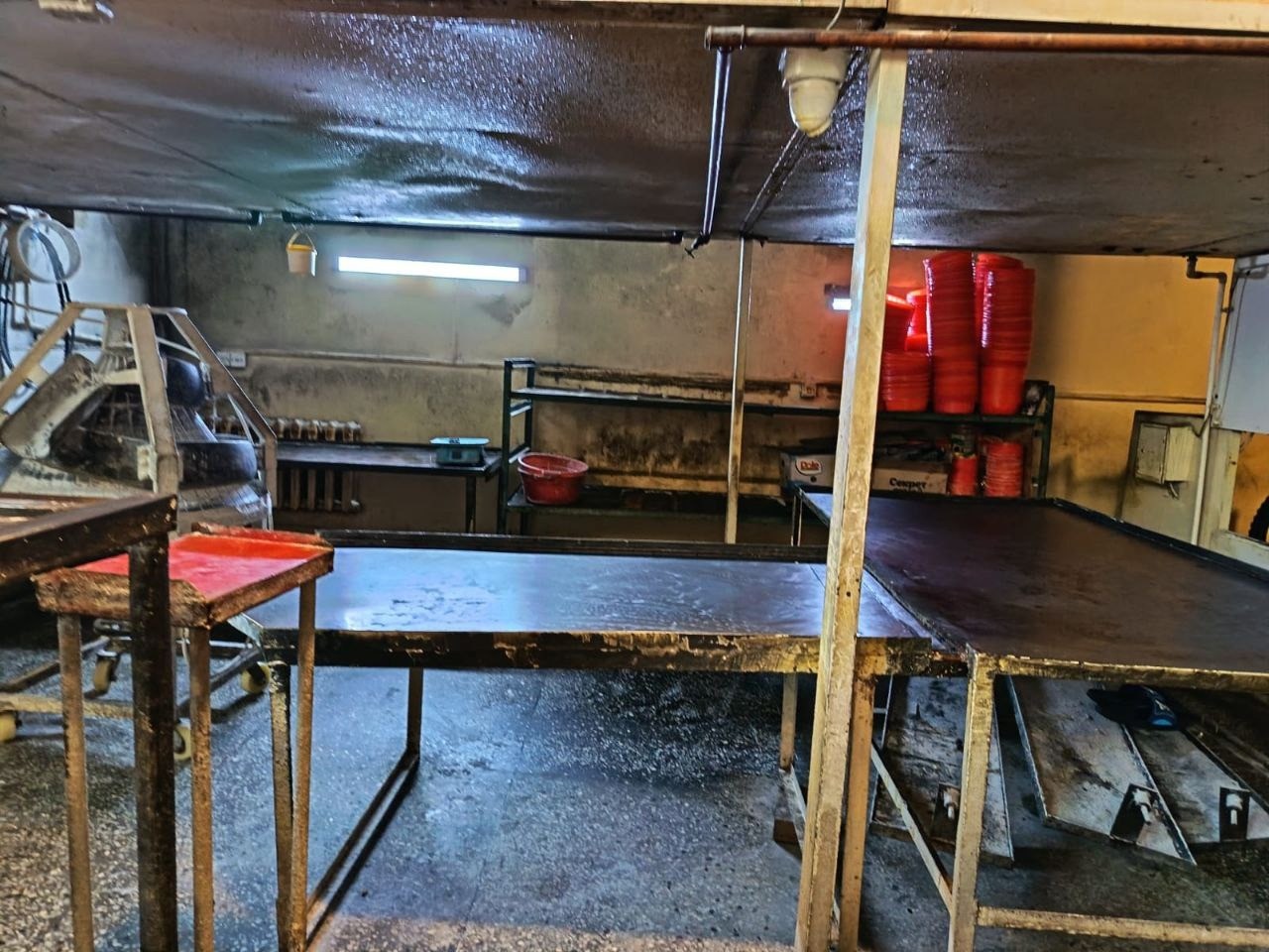 Çörək emalı müəssisəsində nöqsanlar aşkarlandı - FOTOLAR