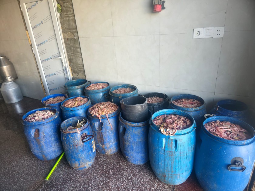 Novxanıdakı kəsim məntəqəsində nöqsanlar aşkarlandı - FOTOLAR