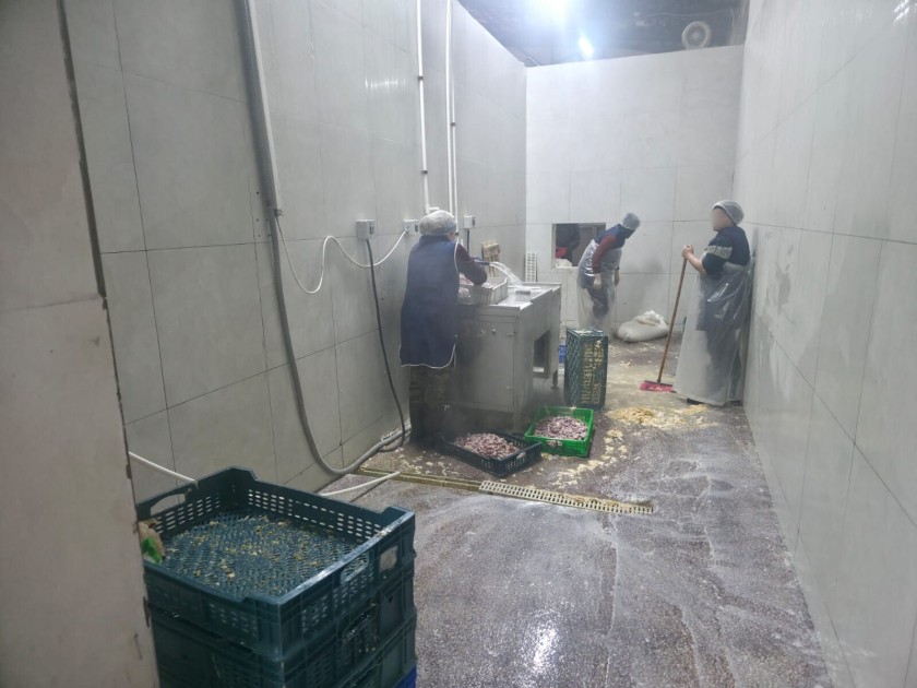 Novxanıdakı kəsim məntəqəsində nöqsanlar aşkarlandı - FOTOLAR