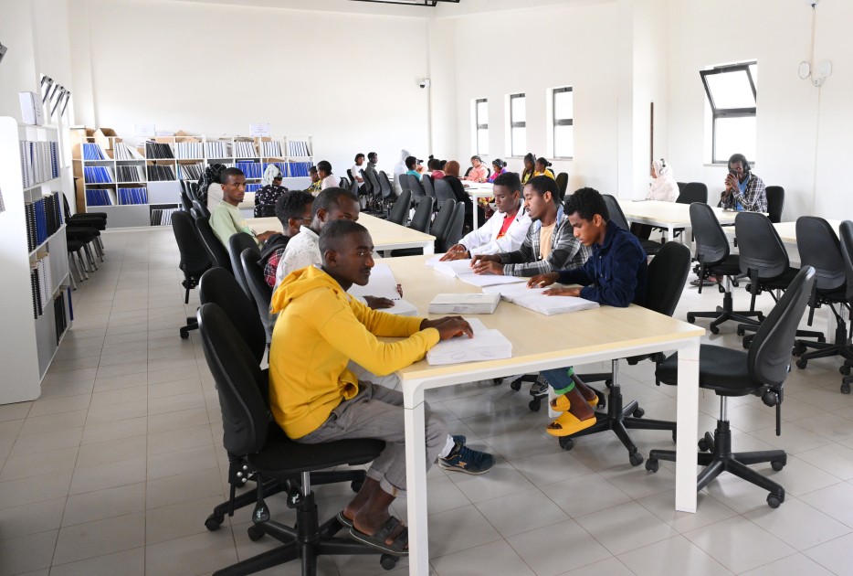 Leyla Əliyeva Əddis-Əbəbədə bir sıra sosial və mədəni obyektlərlə tanış olub - FOTOLAR