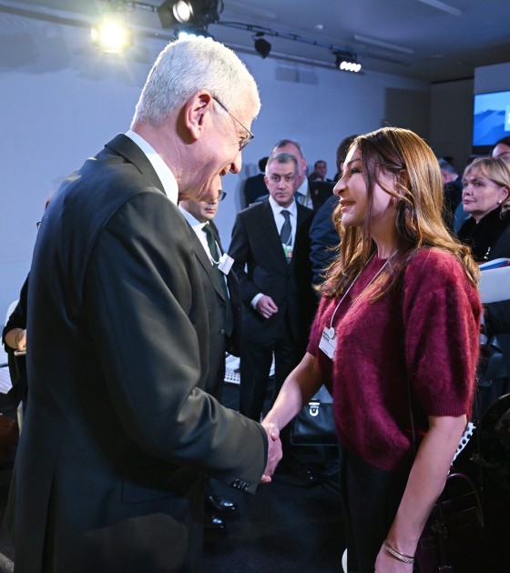 Prezident panel iclasda iştirak etdi - FOTOLAR (YENİLƏNİB)