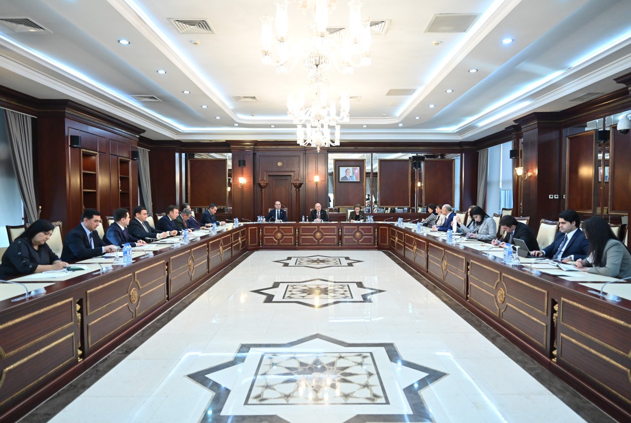 Milli Məclisin Səhiyyə komitəsinin yaz sessiyasında ilk iclası keçirilib - FOTOLAR