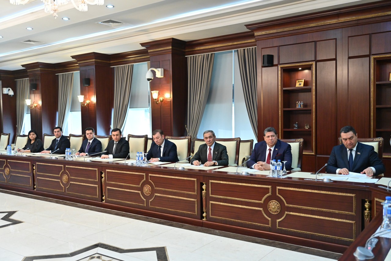 Milli Məclisin Səhiyyə komitəsinin yaz sessiyasında ilk iclası keçirilib - FOTOLAR