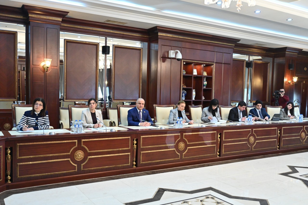 Milli Məclisin Səhiyyə komitəsinin yaz sessiyasında ilk iclası keçirilib - FOTOLAR