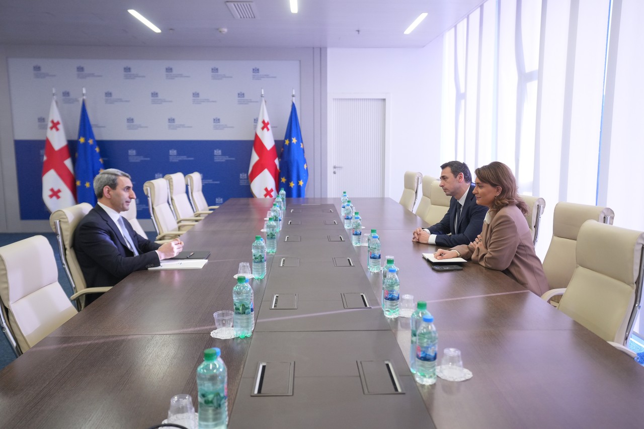 ADY sədri gürcü həmkarı ilə görüşdü - FOTOLAR