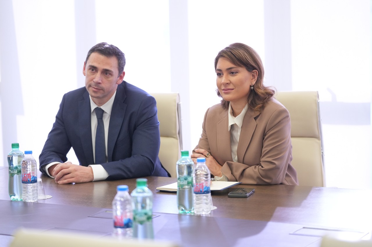 ADY sədri gürcü həmkarı ilə görüşdü - FOTOLAR