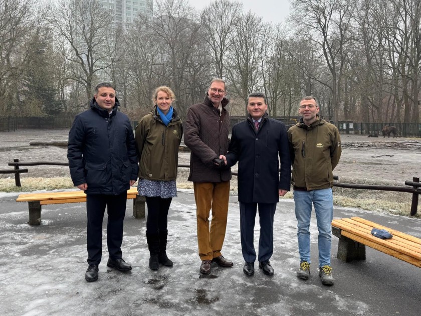 Almaniyadan Azərbaycana 18 zubr yola salındı - FOTOLAR