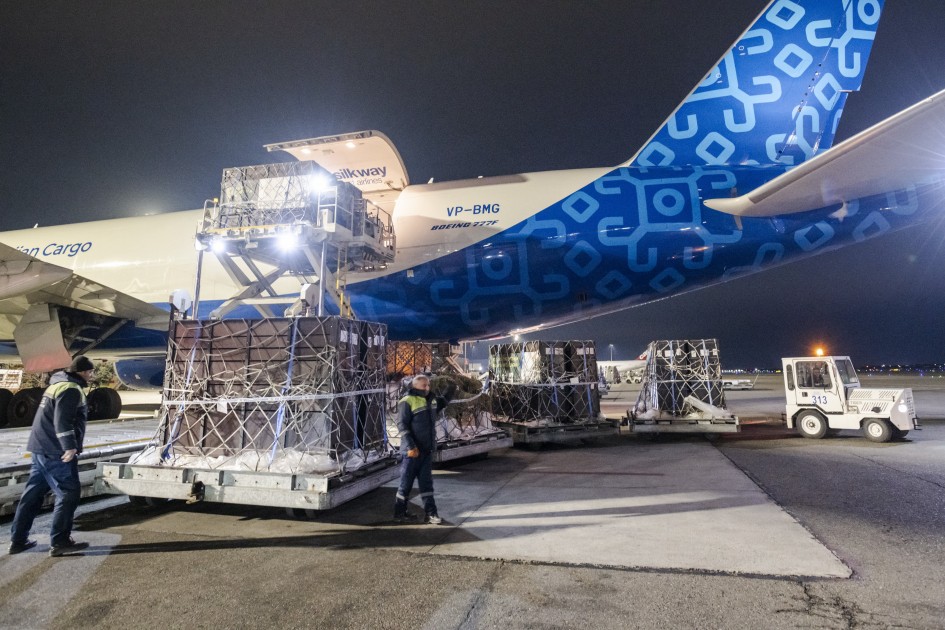 Almaniyadan Azərbaycana 18 zubr yola salındı - FOTOLAR