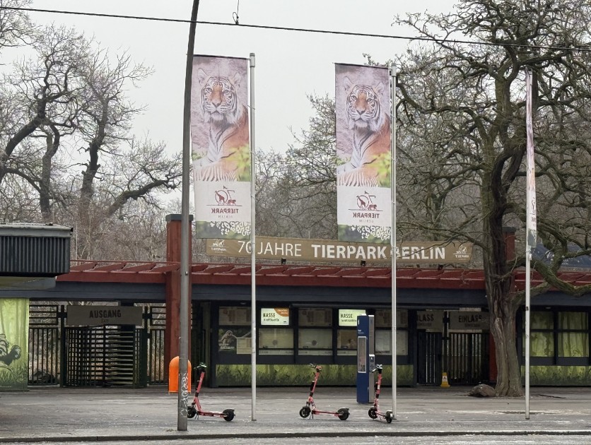 Almaniyadan Azərbaycana 18 zubr yola salındı - FOTOLAR