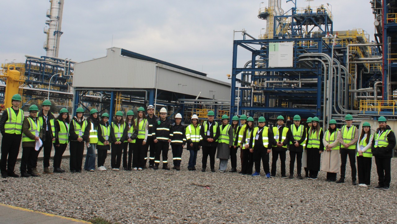 YAP Nizami rayon təşkilatının keçirdiyi layihə yekunlaşıb - FOTOLAR