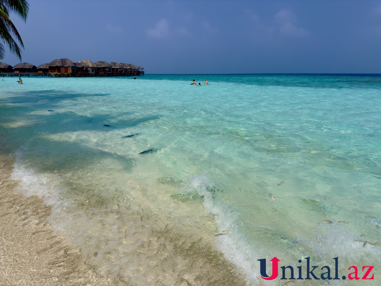 Bir anda qışdan yaya - Maldiv adalarından FOTOLAR