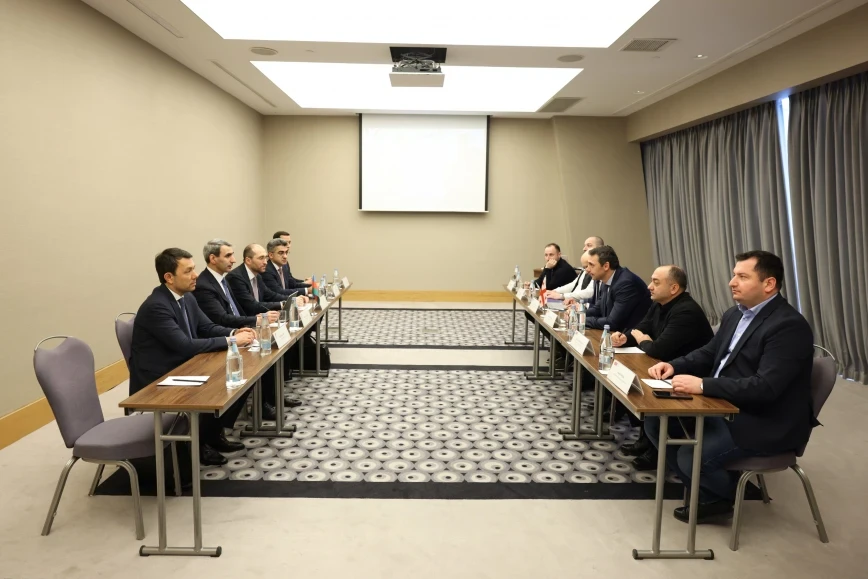 ADY sədri gürcüstanlı həmkarı ilə görüşdü - FOTOLAR