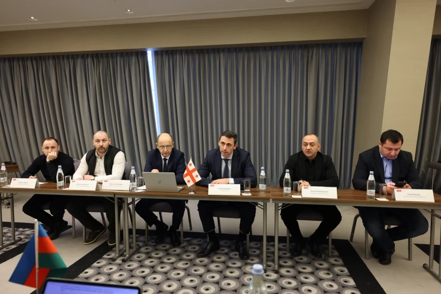 ADY sədri gürcüstanlı həmkarı ilə görüşdü - FOTOLAR