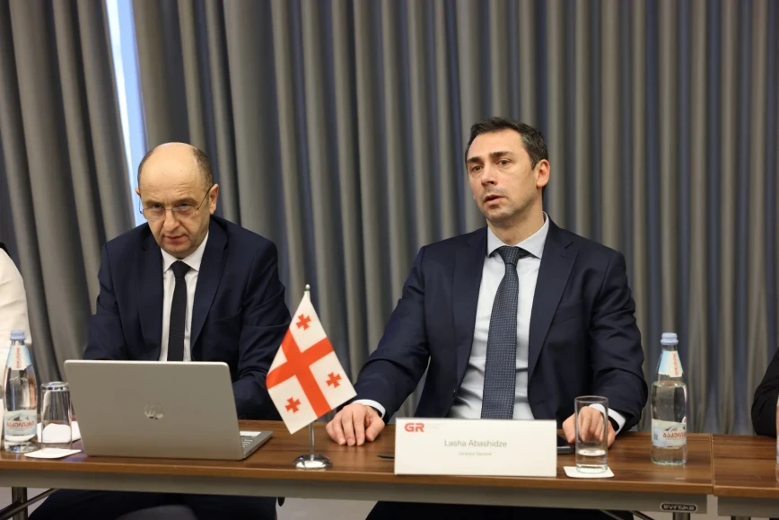 ADY sədri gürcüstanlı həmkarı ilə görüşdü - FOTOLAR