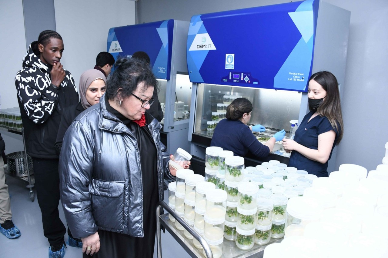 20 ölkəni təmsil edən əcnəbi tələbələr ADAU-da olublar - FOTOLAR