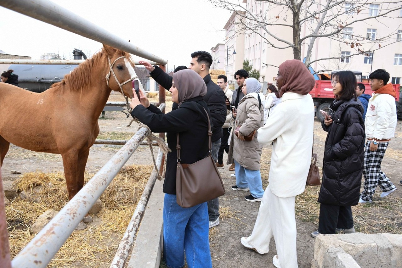 20 ölkəni təmsil edən əcnəbi tələbələr ADAU-da olublar - FOTOLAR