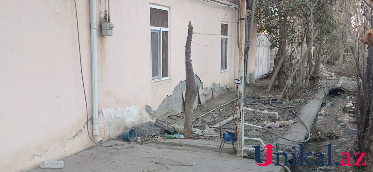 Şəmkirdə qətlə yetirilən qadının öldürülməsinin təfərrüatı