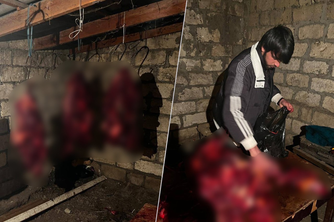 146 kq at ətini Bakıda satmaq istəyənlər saxlanıldı - FOTOLAR