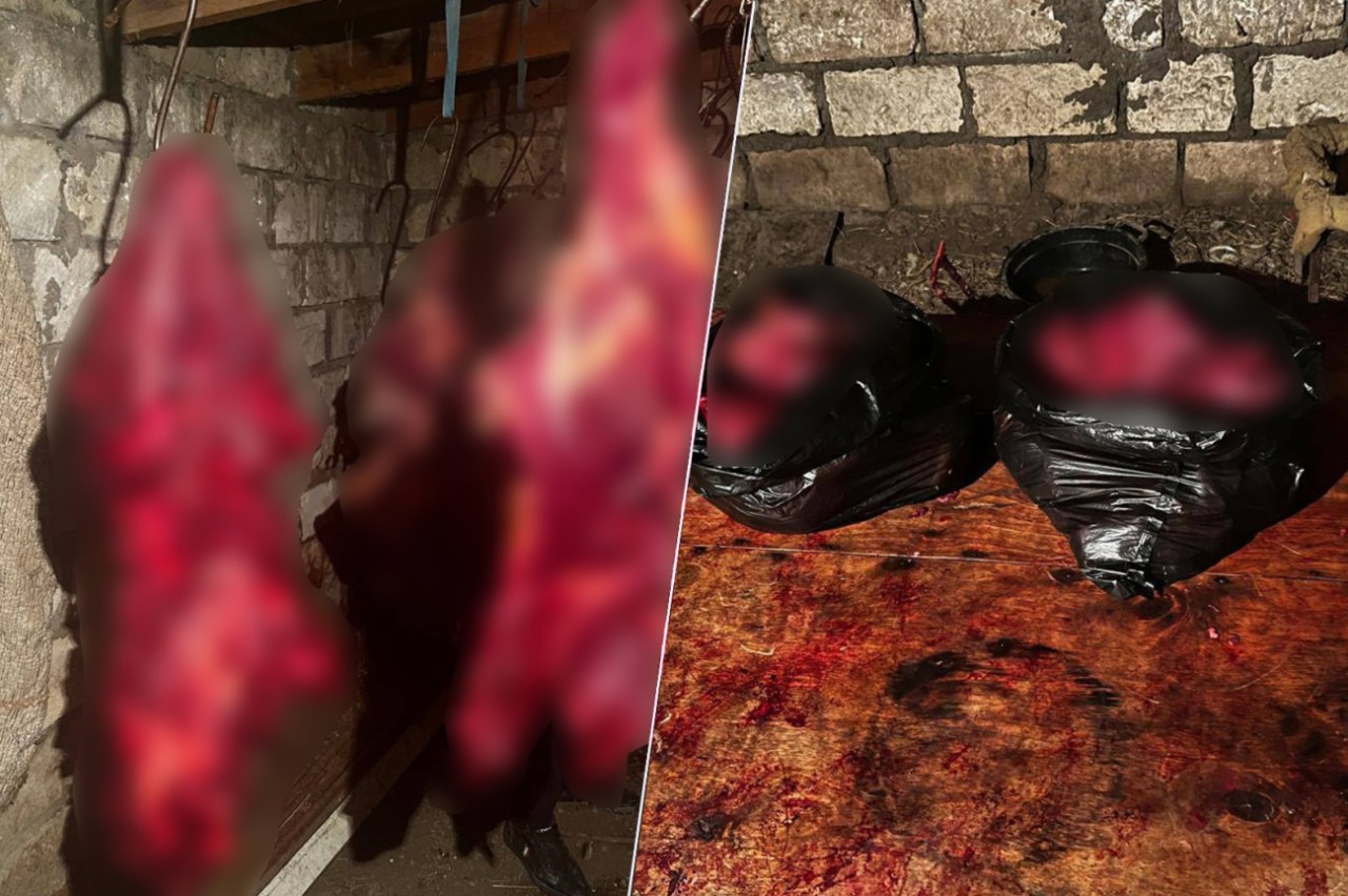 146 kq at ətini Bakıda satmaq istəyənlər saxlanıldı - FOTOLAR
