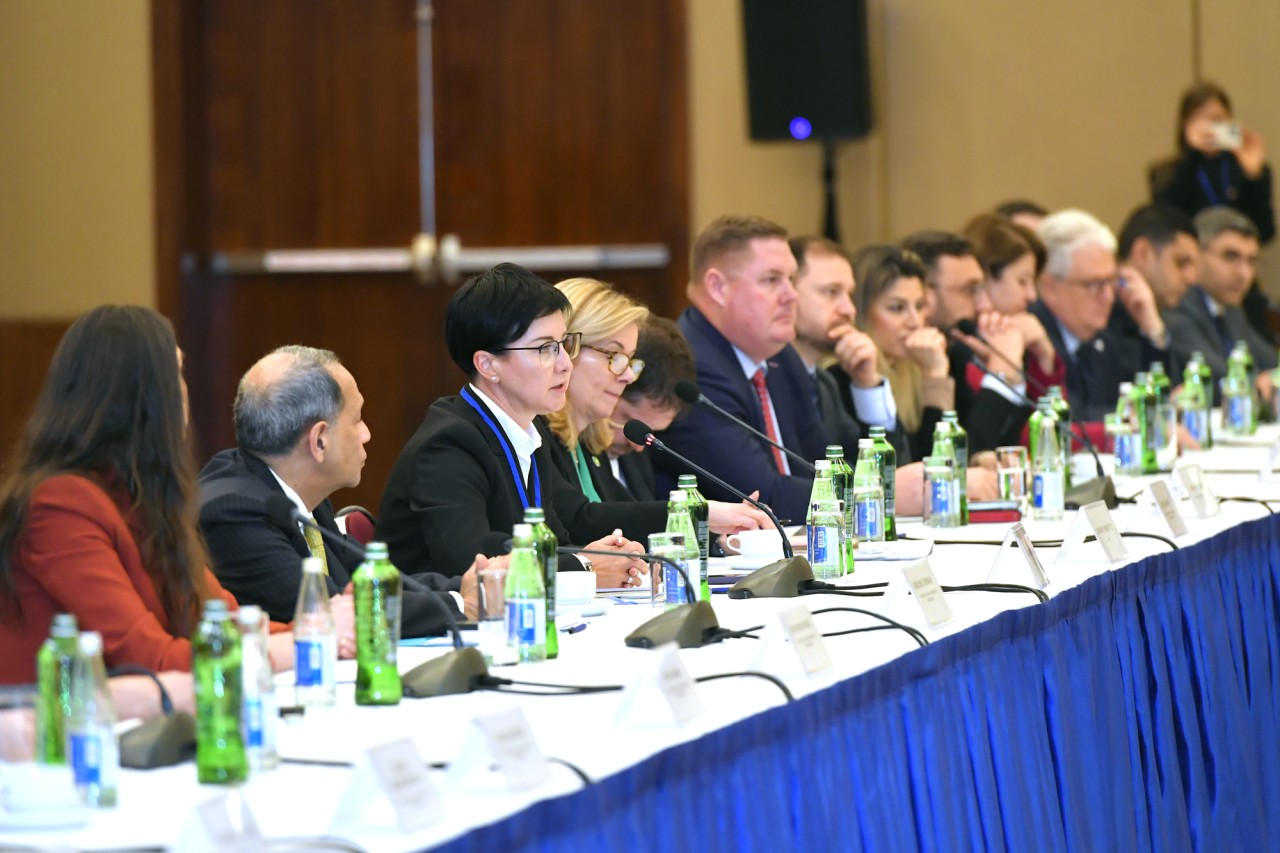 Rəşad Nəbiyev Kuş Çoksinlə görüşdü - FOTOLAR