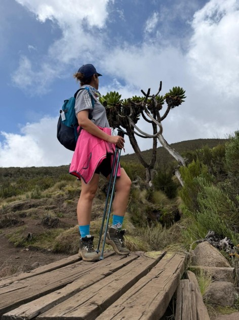 Azərbaycan bayrağı Kilimancaro zirvəsində - FOTOLAR