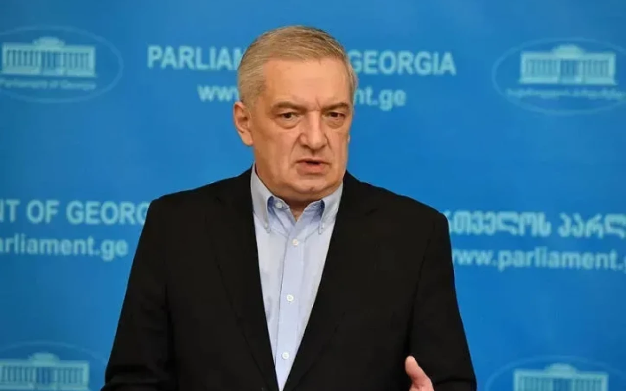 Gürcüstan Azərbaycan-Ermənistan münasibətlərinin yaxşılaşmasından məmnundur -Vitse-spiker