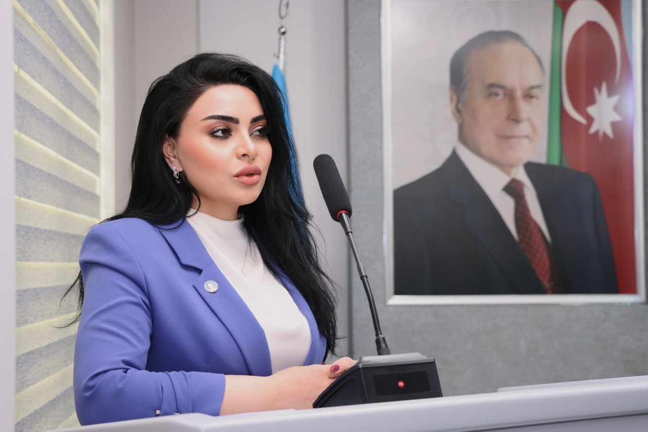 YAP Nərimanov rayon təşkilatı tədbir keçirdi - FOTOLAR