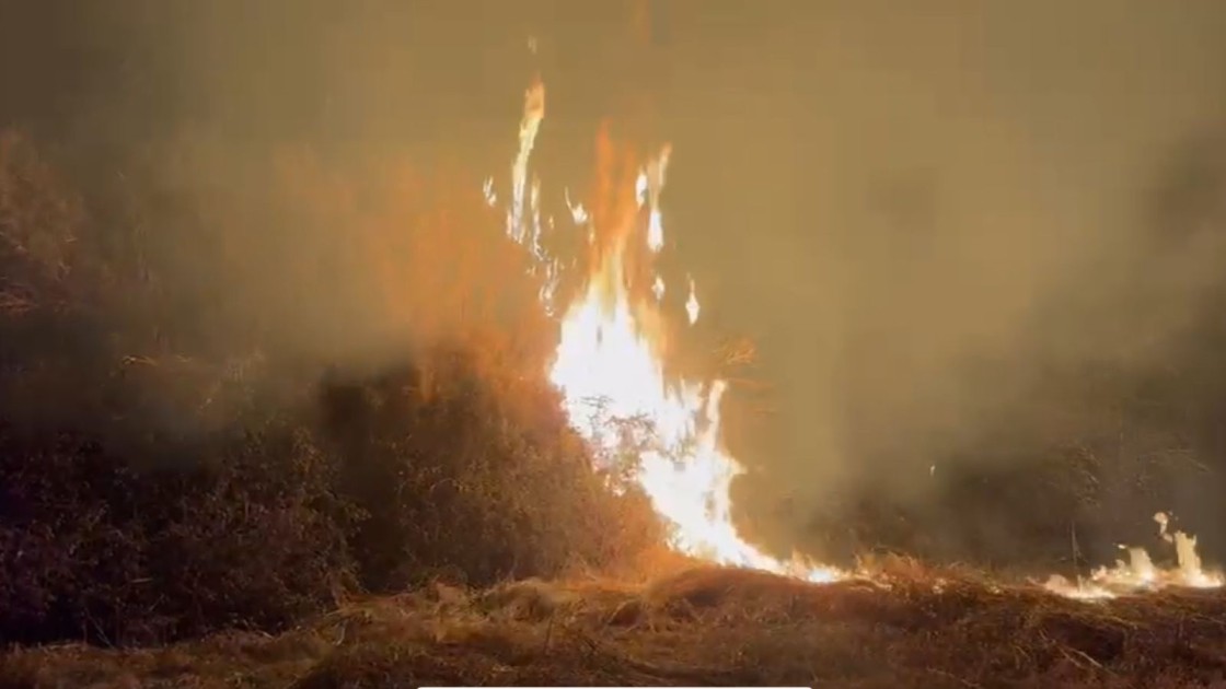 Ucarda qəbiristanlıq yandı - FOTOLAR