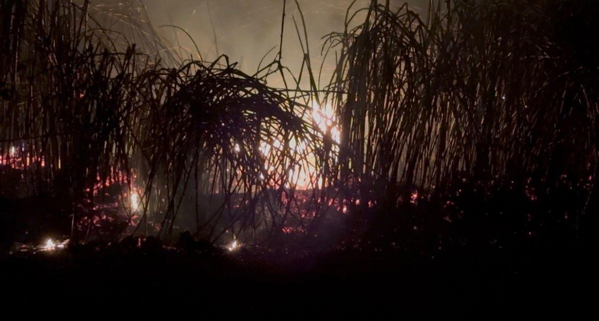 Ucarda qəbiristanlıq yandı - FOTOLAR