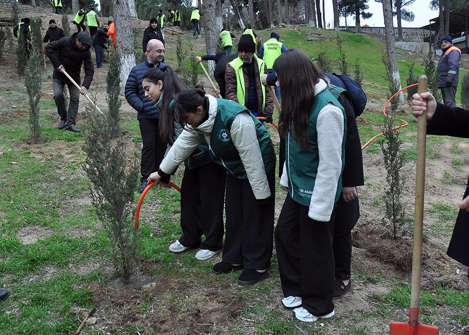 Sumqayıtda genişmiqyaslı ağacəkmə aksiyası keçirilib - FOTOLAR