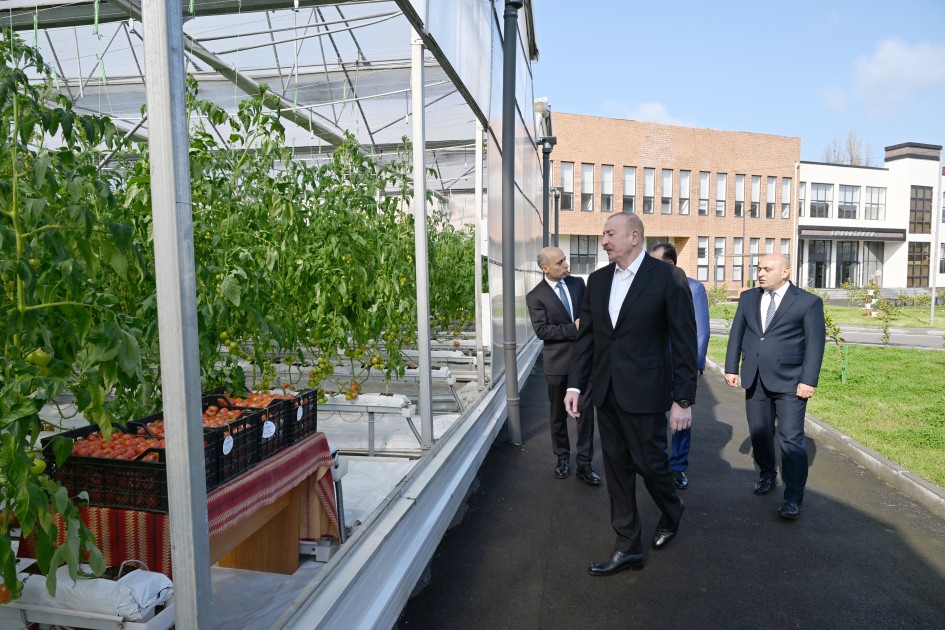 İlham Əliyev Lənkəranda açılış etdi - FOTOLAR