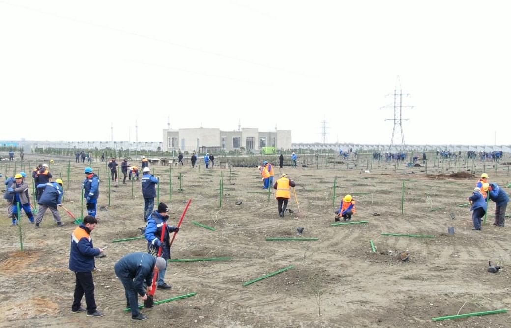 “AzərEnerji” ağacəkmə və anım tədbiri keçirib - FOTOLAR