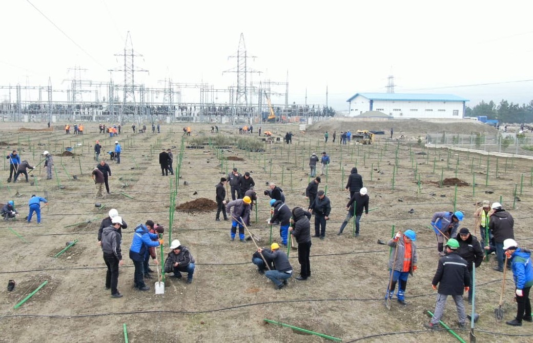 “AzərEnerji” ağacəkmə və anım tədbiri keçirib - FOTOLAR