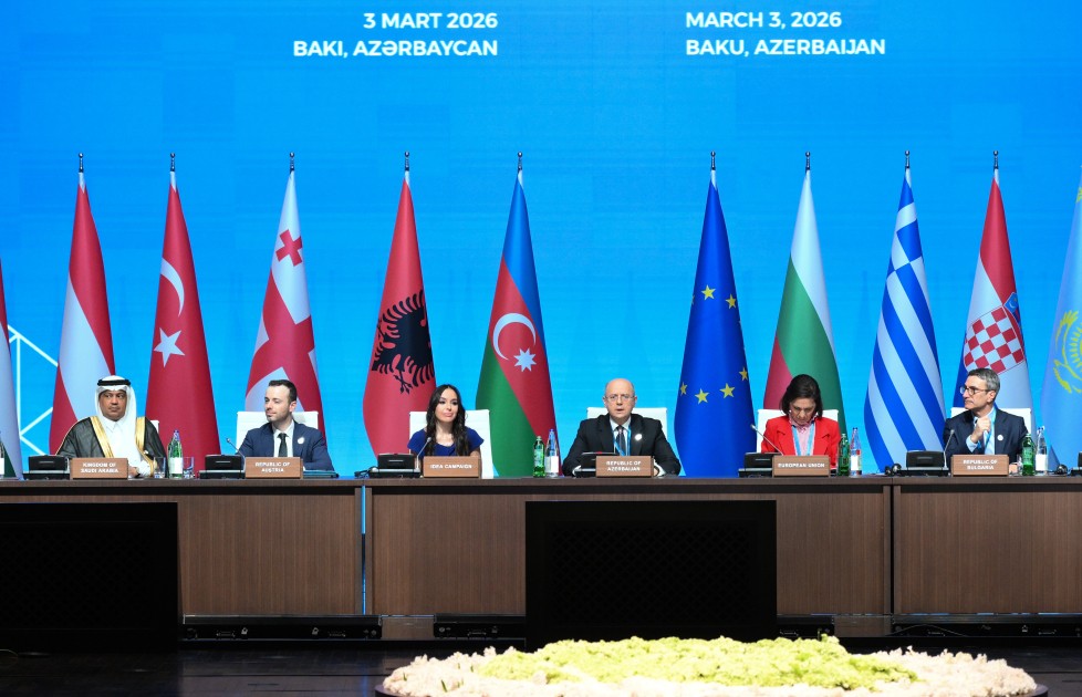 Leyla Əliyeva “Yaşıl enerji layihələri” sessiyasında çıxış etdi - FOTOLAR